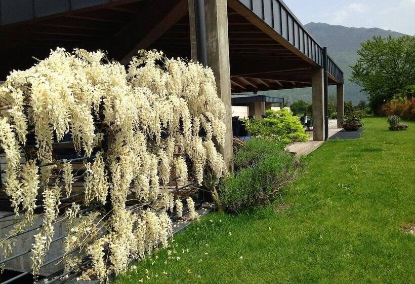 Vivere Suites & Rooms