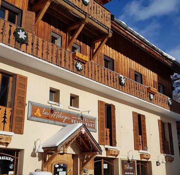 فندق Hôtel Chalet Les Mélèzes