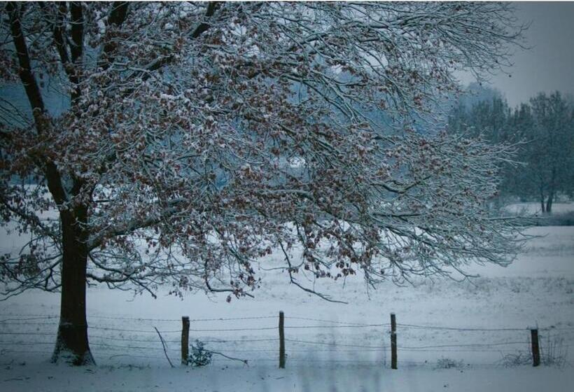 بنسيون La Maison D Inès And Ugolin & Spa