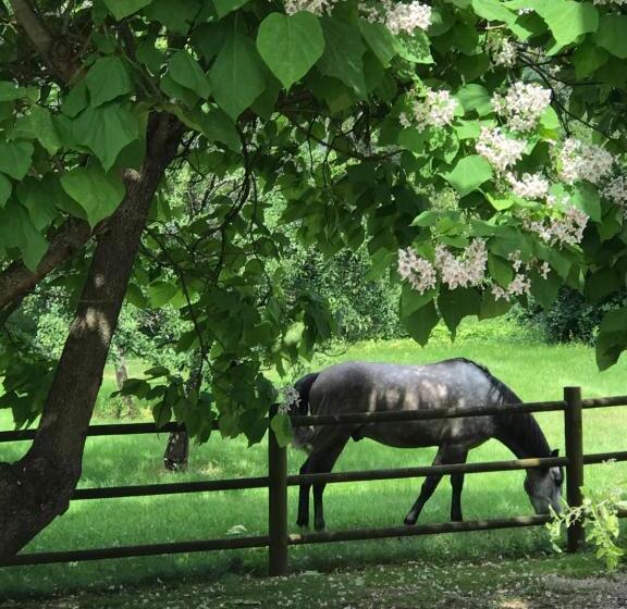 بنسيون La Maison D Inès And Ugolin & Spa