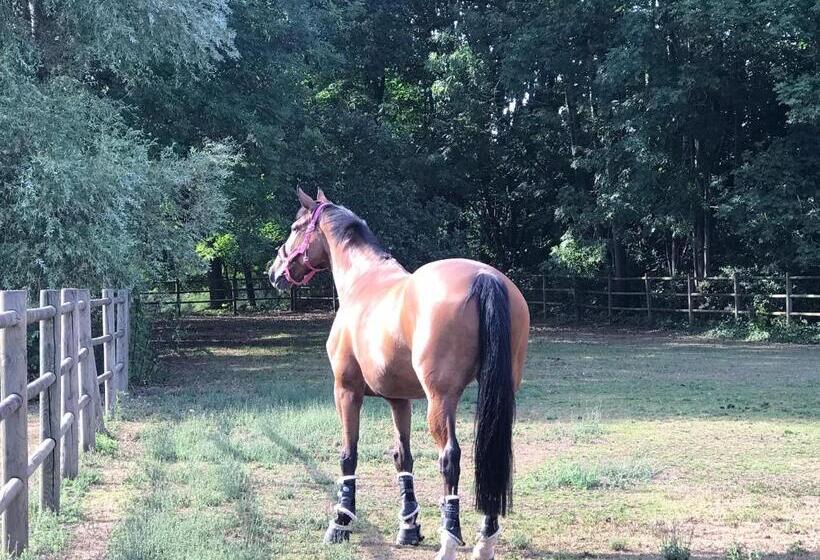 بنسيون La Maison D Inès And Ugolin & Spa