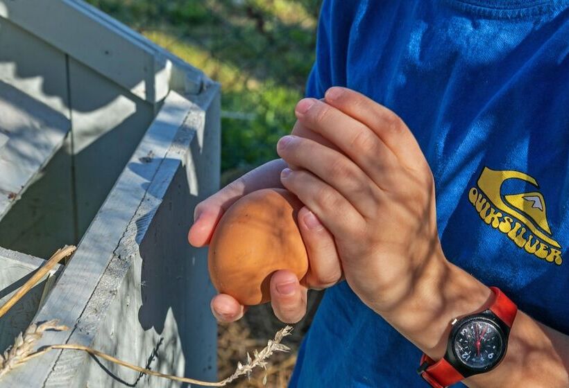 צימר Domaine De Rambeau