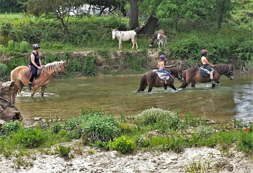 בית מלון כפרי Ferme Equestre Les Coccinelles
