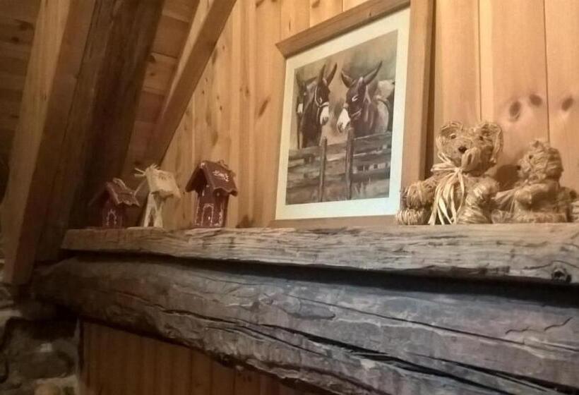 پانسیون Gite Du Bois De L'ours