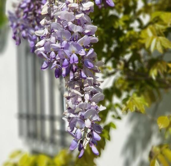 بنسيون La Ruette Aux Loups