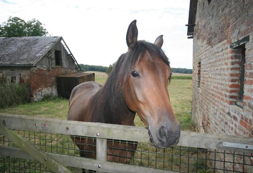 צימר Le Prieuré Chambres D Hôtes