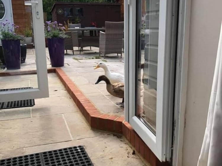 민박 West View Lodge