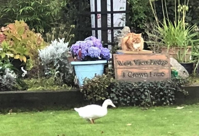 민박 West View Lodge