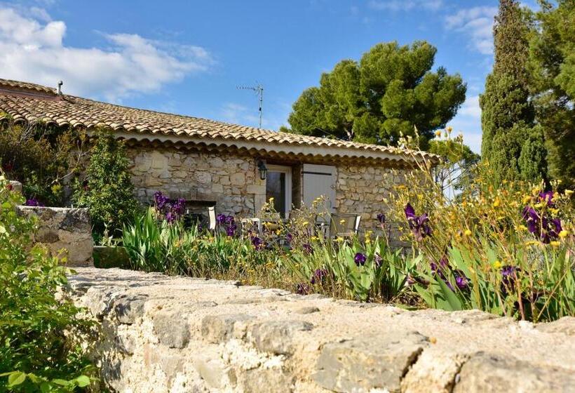 Domaine Du Mas Foucray