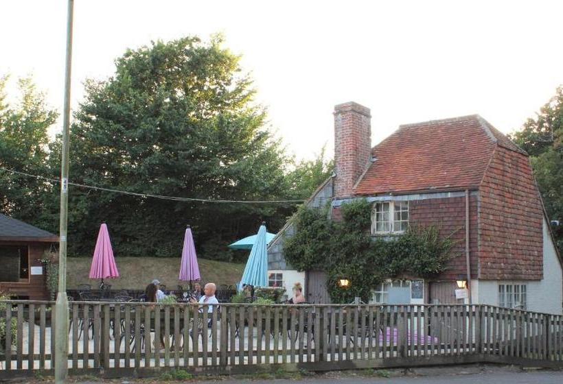 فندق Monkey Brewhouse