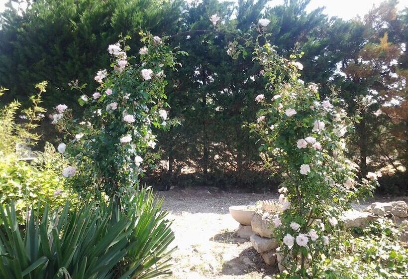 بنسيون Aux Roses De L Etang