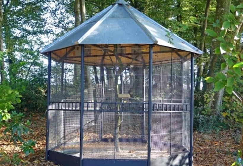 بنسيون Château De Montbrault