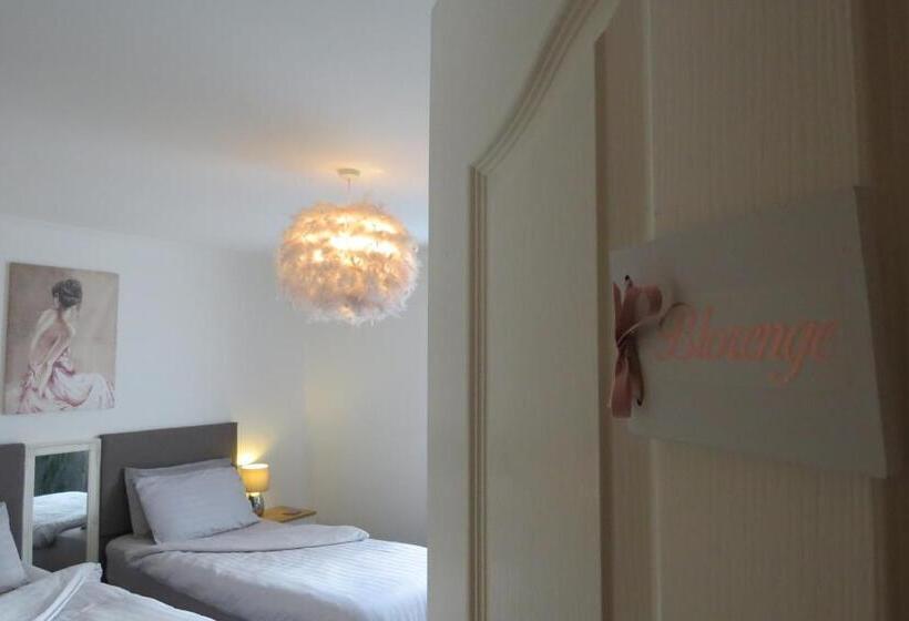 بنسيون Cribyn Lodge