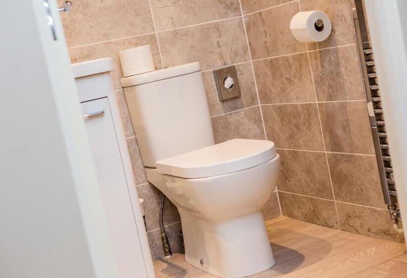 فندق صغير The Black Swan Inn