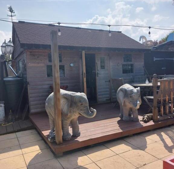 پانسیون Nest Guesthouse