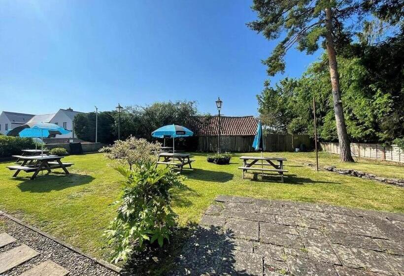 旅馆 The Bell At Old Sodbury