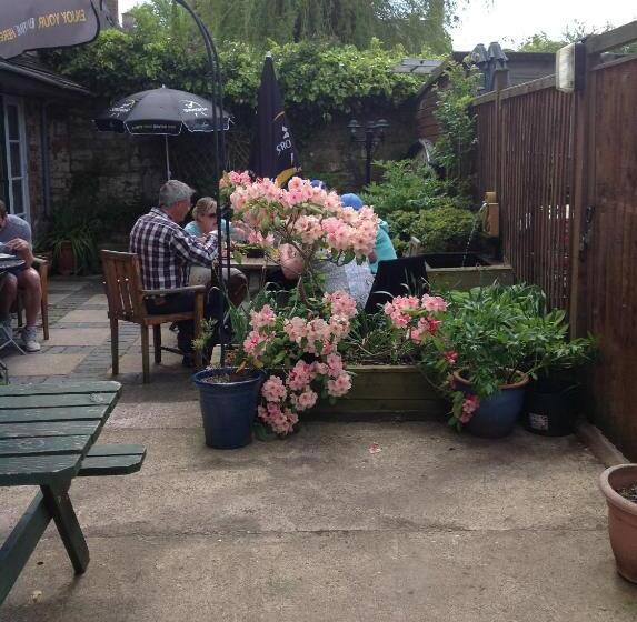 هاستل The Swan Inn