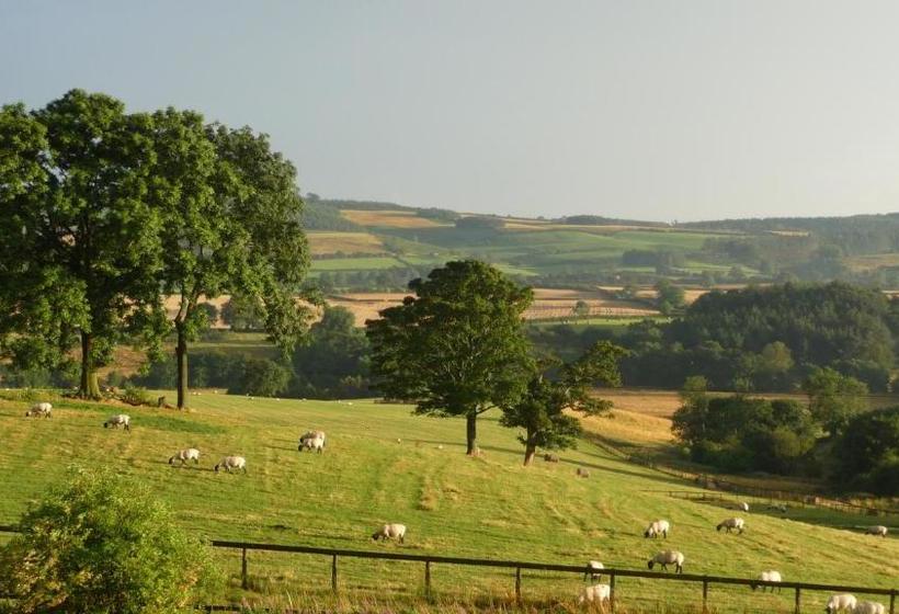 펜션 Shallowdale House