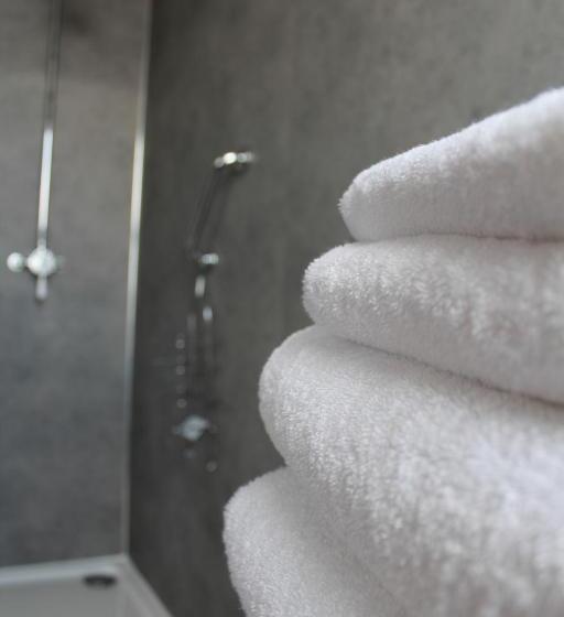 پانسیون The Ashley