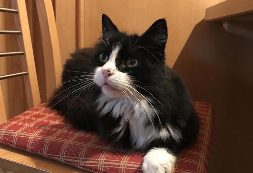 בית מלון כפרי Fetzenhof