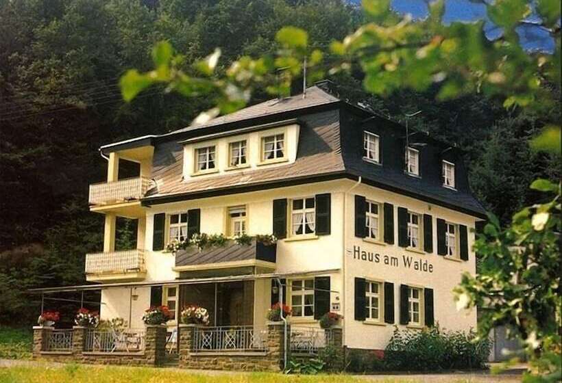 Pension Haus Am Walde Brodenbach, Mosel