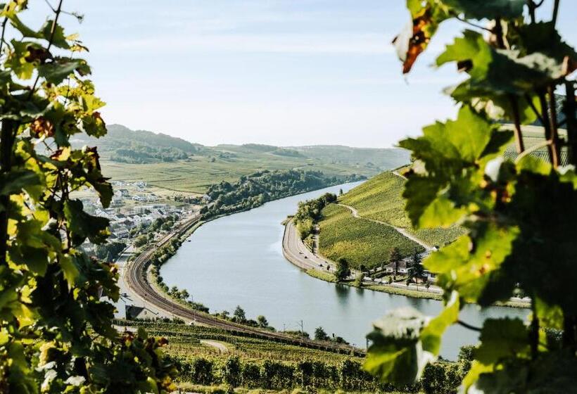 ユースホステル Weingut Und Gästehaus Apel