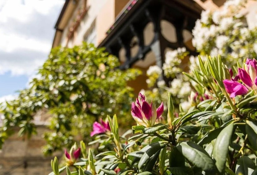 فندق صغير Gastehaus Musmann