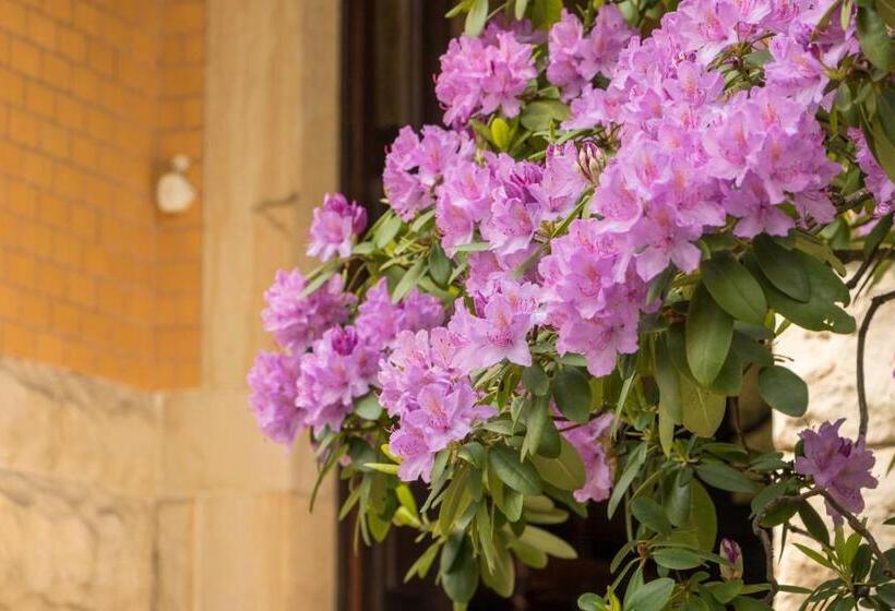 فندق صغير Gastehaus Musmann