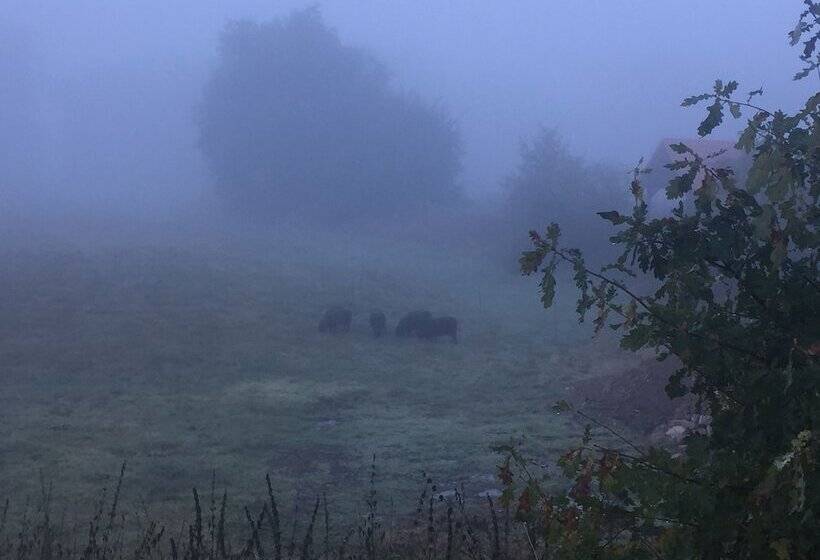 Пансион Alwine  Landhaus An Den Spreewiesen