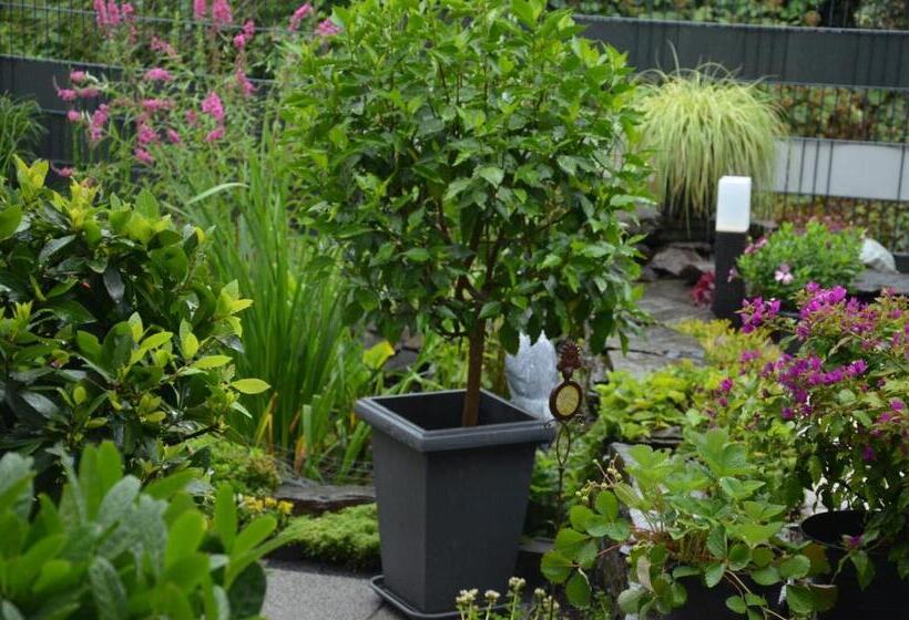 بنسيون Gästehaus Praliné