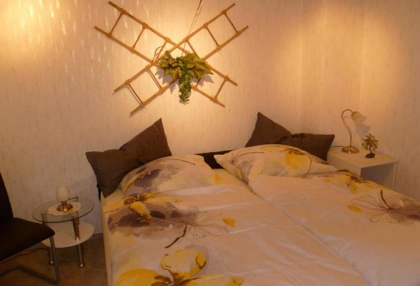 بنسيون Guest House Schneider
