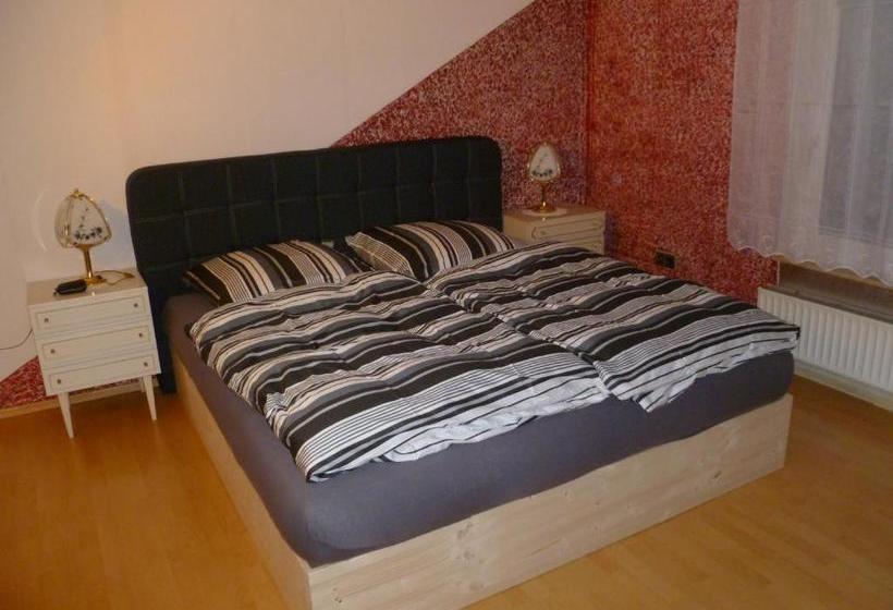 بنسيون Guest House Schneider