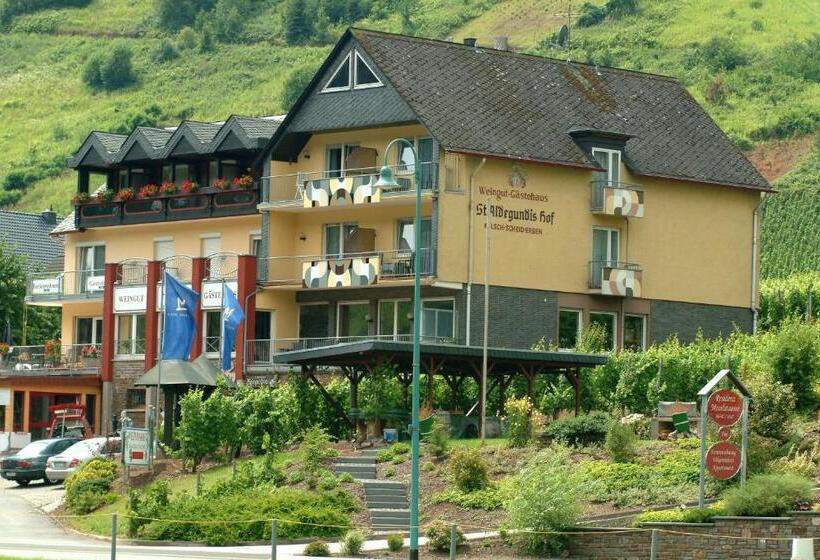 ペンション Wein  Und Gästehaus St. Aldegundishof