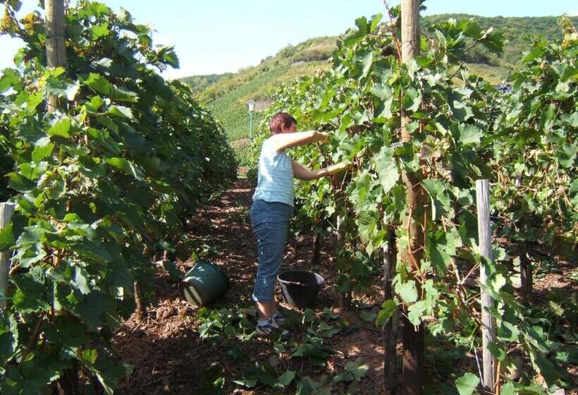 ペンション Wein  Und Gästehaus St. Aldegundishof