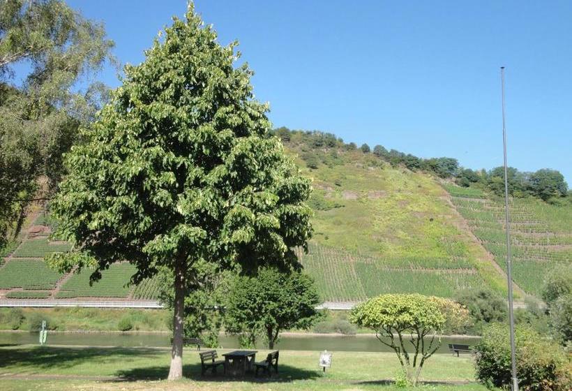 ペンション Gästehaus Andrea Blatt