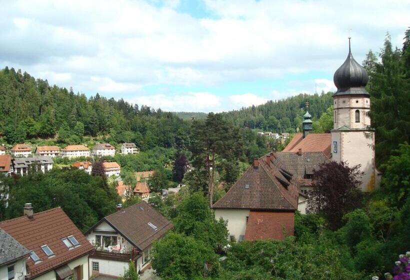 پانسیون Self Check In Ferienwohnungen & Apartments Am Bergsee