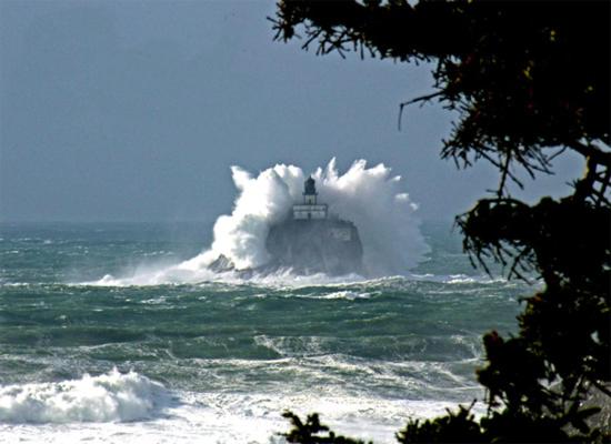 هتل Webb's Scenic Surf