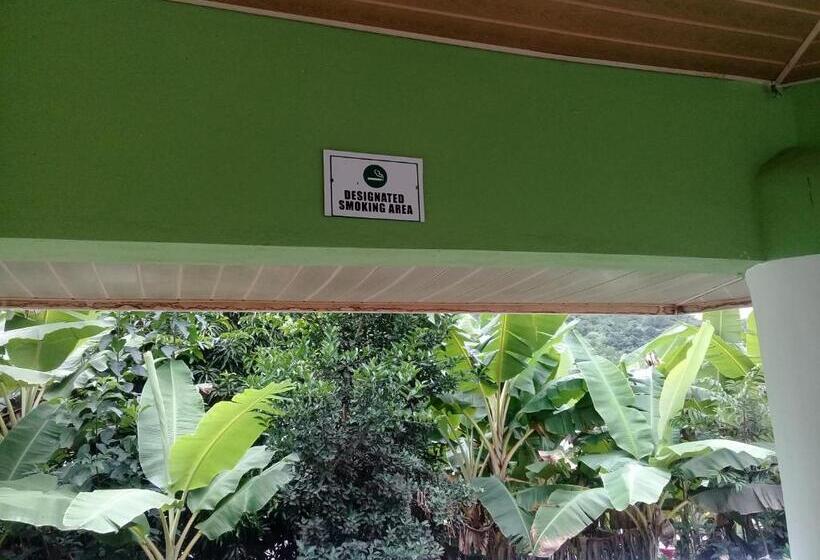 بنسيون 3a S Guest House