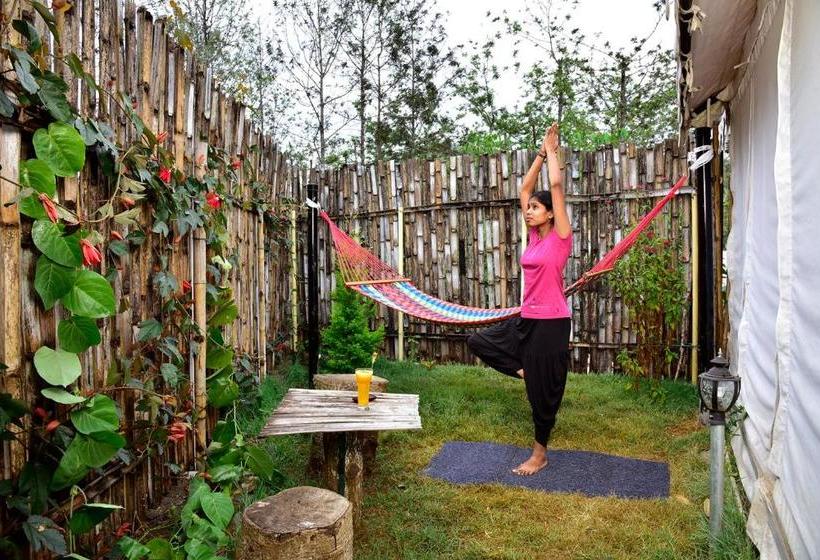 Wow Bison Woods Resort Yercaud