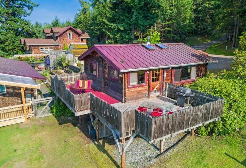 بنسيون Juniper Lane Guest House