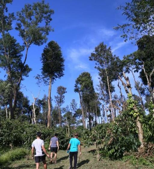 膳宿费 Coorg Kolamotte