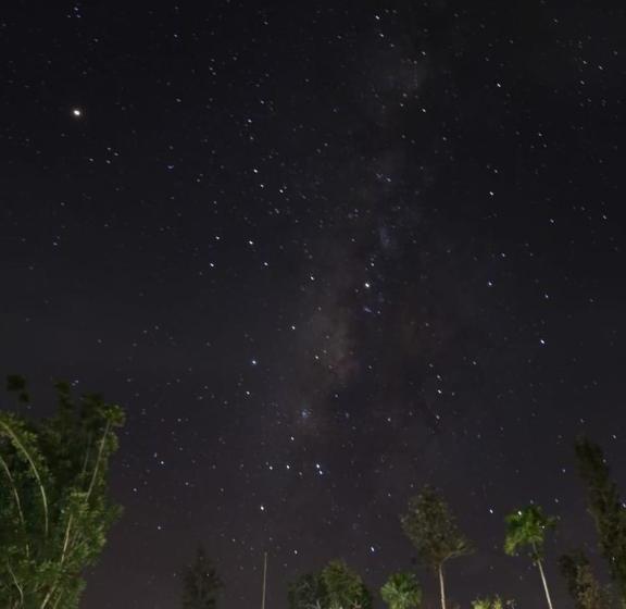 膳宿费 Coorg Kolamotte