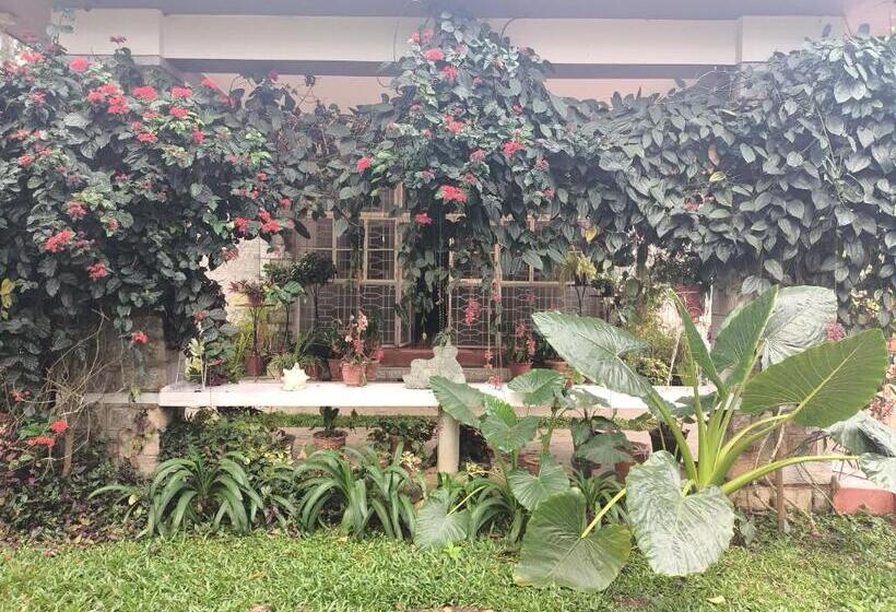 膳宿费 Coorg Kolamotte