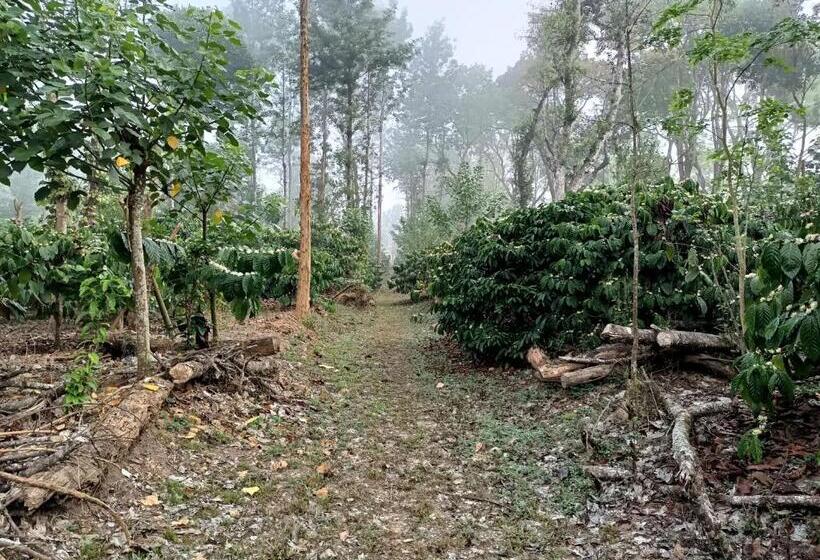 膳宿费 Coorg Kolamotte