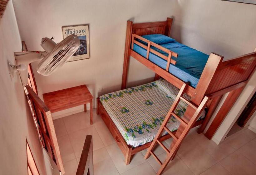 پانسیون Hostal Nibuni Palomino