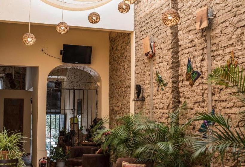 Pensionat Hostal Spa La Casa De Las Libélulas