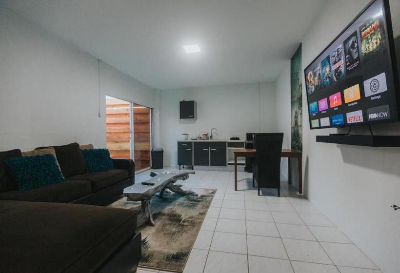 پانسیون Buddha Studios Aruba