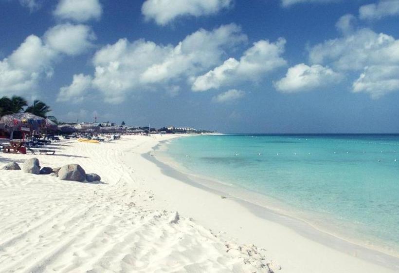 پانسیون Buddha Studios Aruba