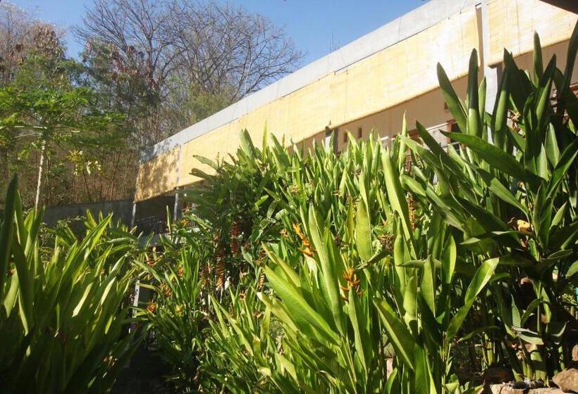 پانسیون Manta Manta Guesthouse