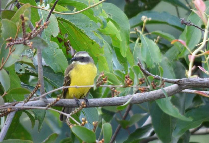 پانسیون Hostal Alto De La Montaña